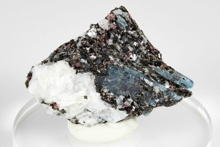 Blue Kyanite & Garnet in Biotite-Quartz Schist - Russia #178934
